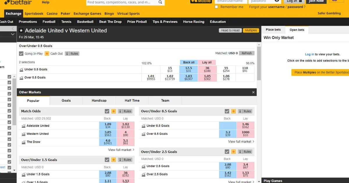 The Betfair exchange